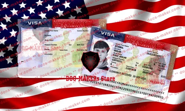 USA Visa Sticker + Photo Look – PSD Template
